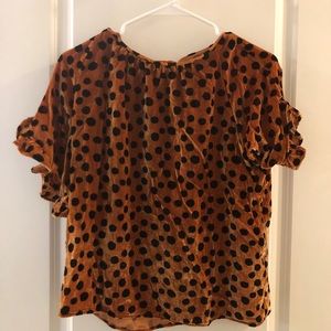 Velvet Leopard Madewell Blouse